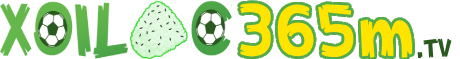 Lịch Thi đấu J League - lịch trực tiếp bóng chuyền hôm nay